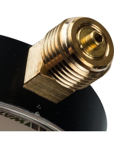 Манометр Watts F+R250 MRS 100 мм, 1/2", 0-6 бар, радиальный