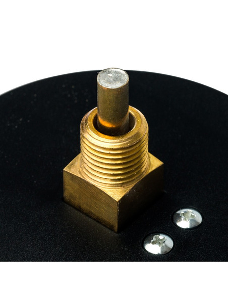 Термоманометр Watts F+R818 TMAP 80 мм, 0-120ºС, 0-6 бар аксиальный