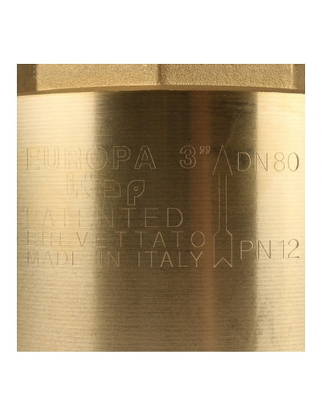 Клапан обратный ITAP EUROPA 100 3" с металлическим седлом