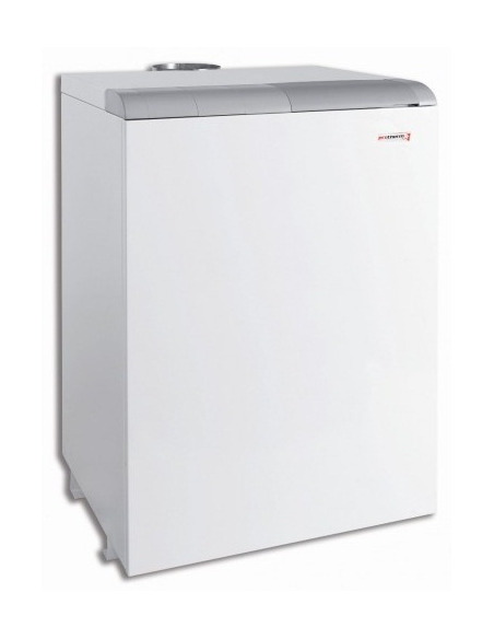 Газовый котел Protherm Медведь 50 TLO