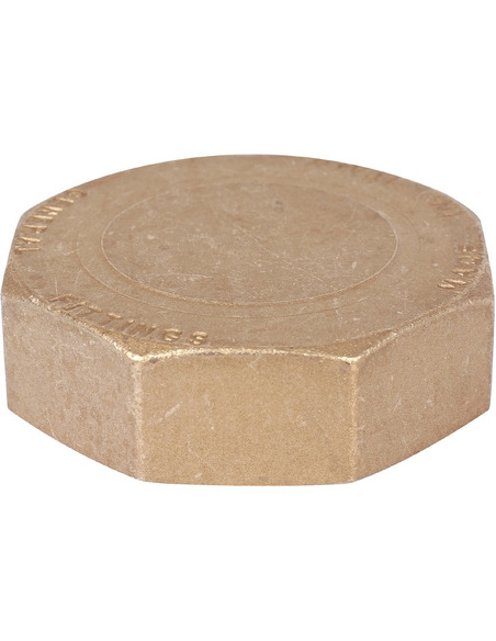 Заглушка STOUT 2 1/2" ВР