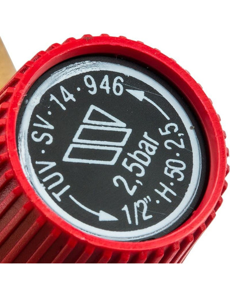 Клапан предохранительный Watts SVH 1/2"х3/4" 2,5 бар