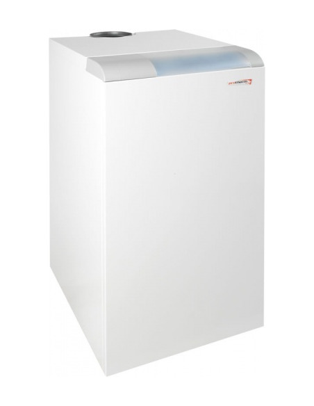 Газовый котел Protherm Медведь 20 TLO