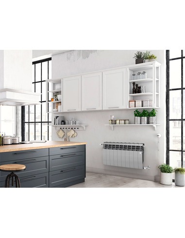 Биметаллический радиатор Royal Thermo BiLiner Silver Satin 350 х6