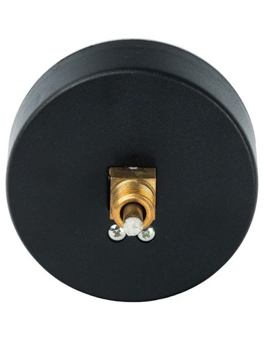 Термоманометр Watts F+R818 TMAP 80 мм, 0-120ºС, 0-4 бар аксиальный