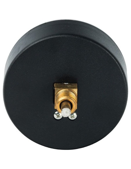 Термоманометр Watts F+R818 TMAP 80 мм, 0-120ºС, 0-4 бар аксиальный