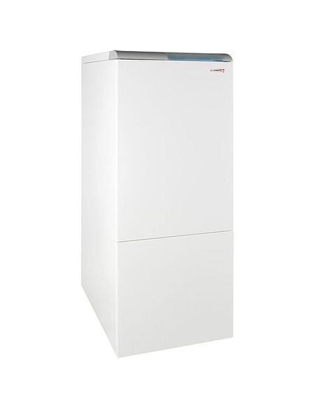 Газовый котел Protherm Медведь 40 KLZ двухконтурный