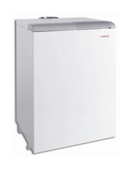 Газовый котел Protherm Медведь 40 TLO Газовый котел Protherm Медведь 40 TLO