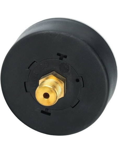 Манометр Watts F+R100 MAL 63 мм, 1/4", 0-6 бар, аксиальный