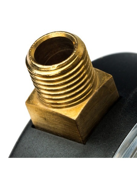 Термоманометр Watts F+R828 TMRP 80 мм, 0-120ºС, 0-4 бар радиальный