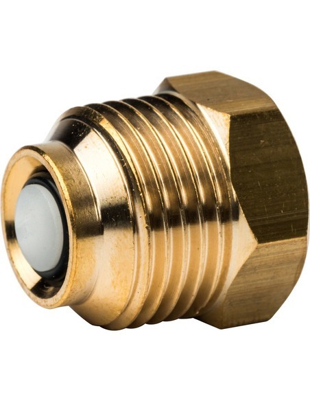 Термоманометр Watts F+R828 TMRP 80 мм, 0-120ºС, 0-4 бар радиальный