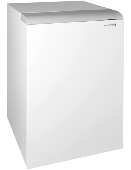 Газовый котел Protherm Волк 16 KSO