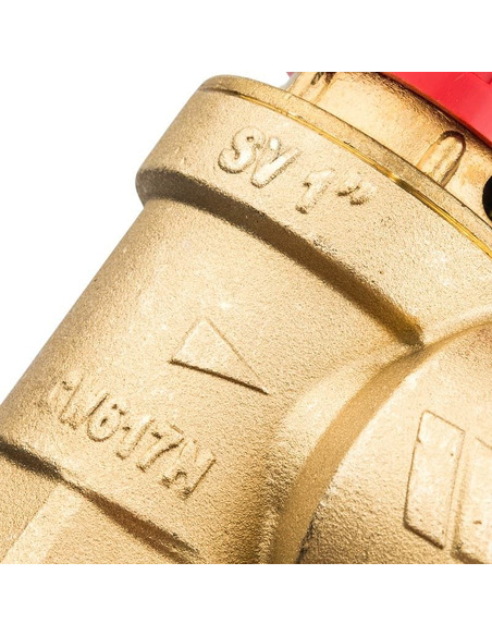 Клапан предохранительный Watts SVH 1"х1 1/4" 2,5 бар