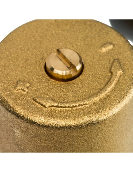 Клапан подпиточный Watts ALIMAT ALOMD 1/2" с манометром