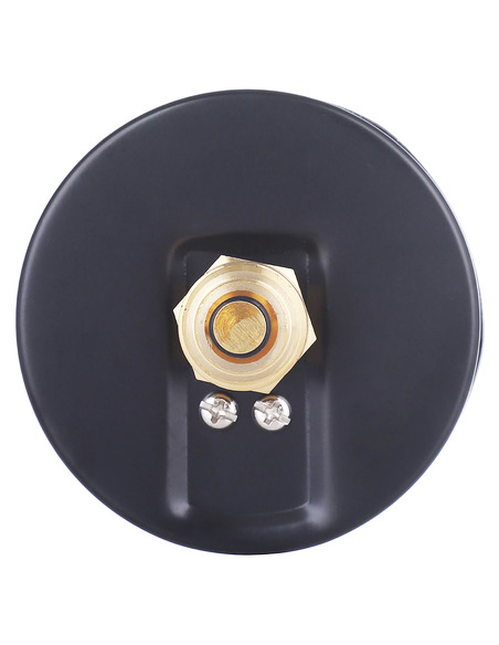 Термоманометр ROMMER 80 мм, 0-120ºС, 0-10 бар аксиальный