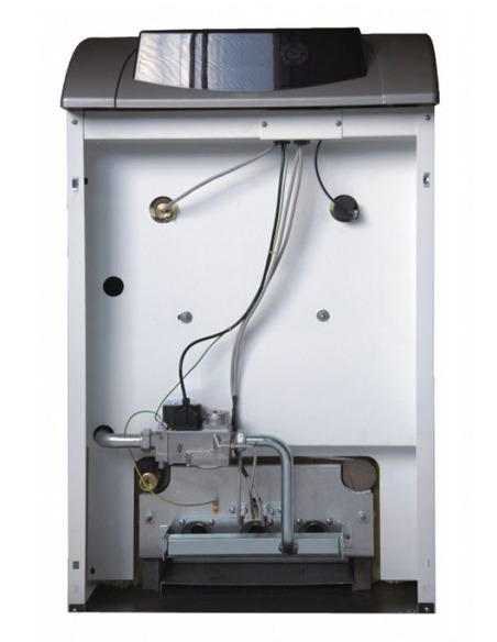 Газовый котел Ferroli Pegasus D 45