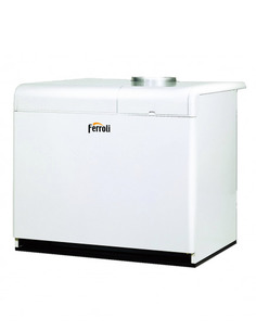 Газовый котел Ferroli Pegasus F3 N 119 2S