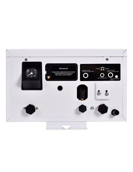 Электрический котел Thermex Boss 12 Wi-Fi (white)